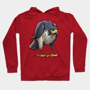 Falcon Hoodie